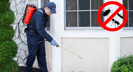 Karakeçili Kemirgen İlaçlama böcek ilaçlama ve haşere kontrolü — ilaclama-tr.com